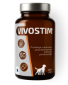 VIVOSTIM60kaps.png