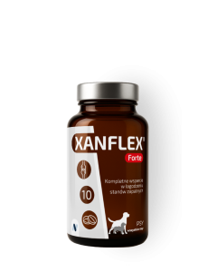 XANFLEX® Forte 10 tabletek