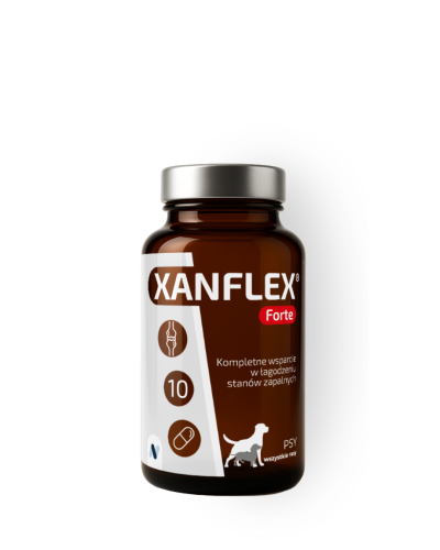XANFLEXforte10kaps.png